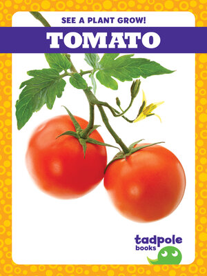 Tomato - ebook